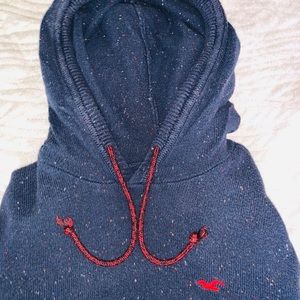 Hollister Hoodie/Sweater